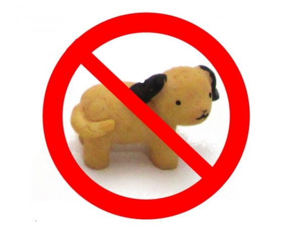 動物禁止のイメージ画像