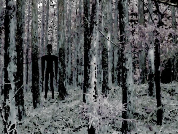 森にいるスレンダーマンの画像